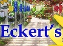Eckerts Greenhouse -- Hanging Baskets 